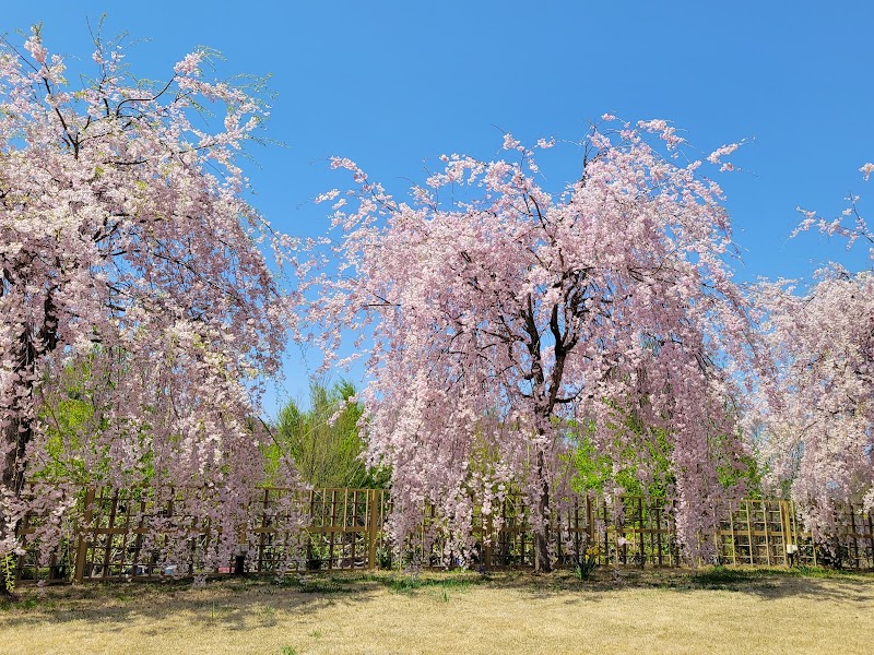 長岡今朝吉記念ギャラリー・甘楽町ふるさと伝習館(群馬県)