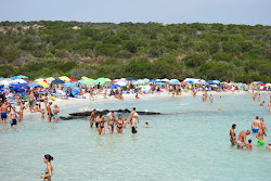 Foto di Spiaggia dei Wreck ubicato in zona naturale