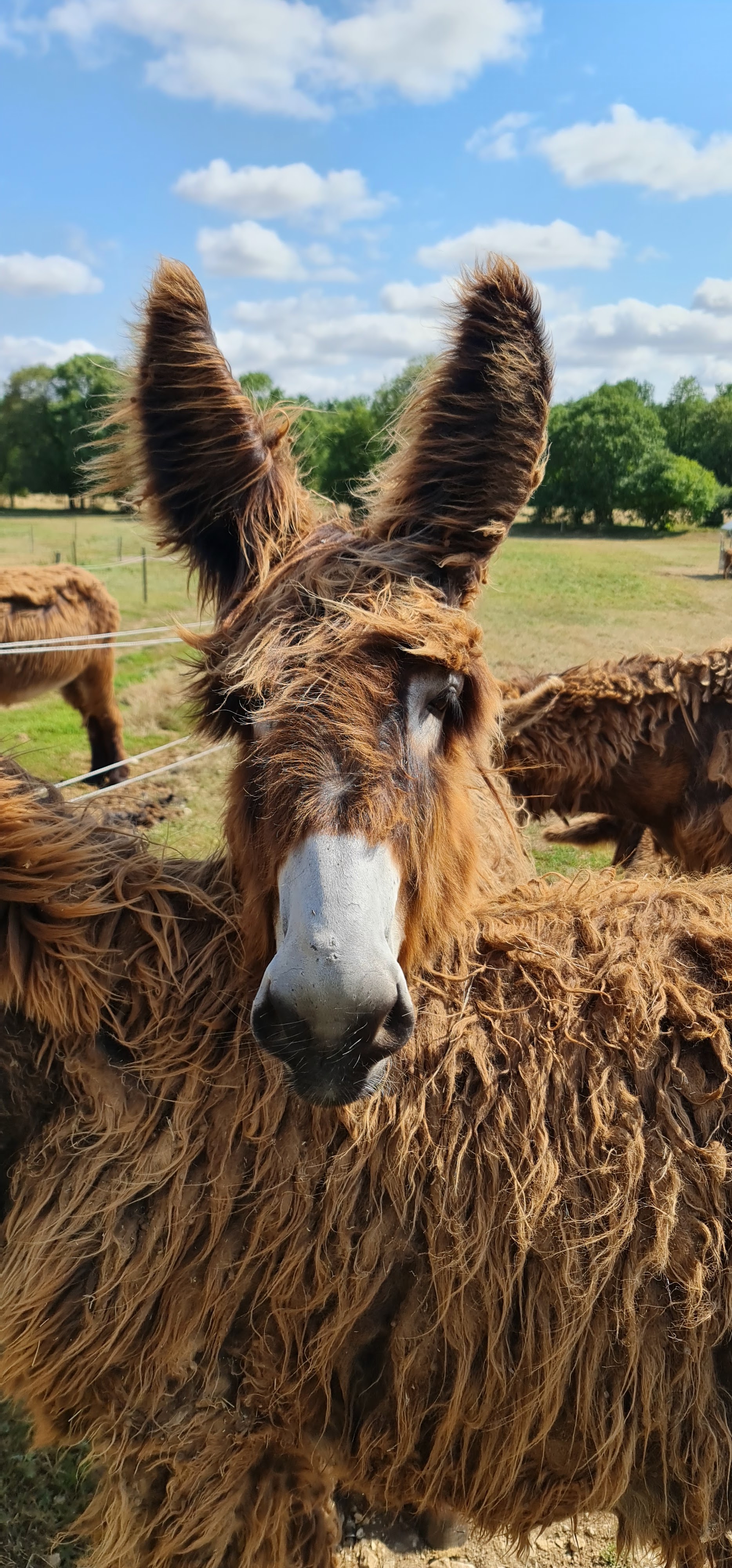 Photo n° 1 de l'avis de Jean.r fait le 23/07/2022 à 17:55