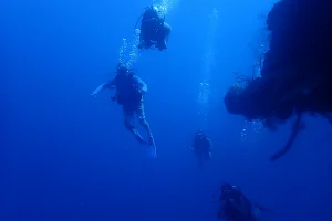 Roatan Seaside Divers image