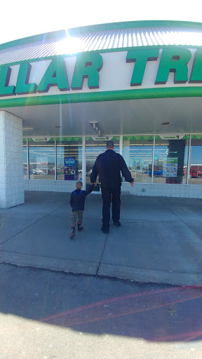 Dollar Store «Dollar Tree», reviews and photos, 11200 Maple Ridge Rd, Medina, NY 14103, USA