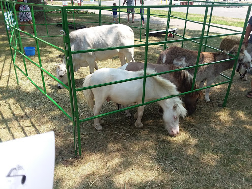 Park «St Clair Shores Park», reviews and photos, 20000 Stephens, St Clair Shores, MI 48080, USA