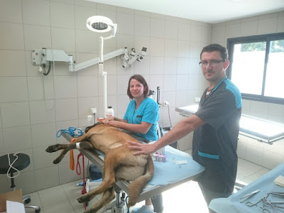 Clinique Vétérinaire des Embruns, Drs RIERE et VELLY à Les Sables-d'Olonne