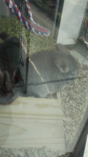 Pet Supply Store «Incredible Pets», reviews and photos, 649 Sutton Way, Grass Valley, CA 95945, USA