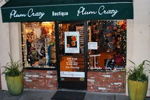 Plum Crazy Hair Design & Boutique image
