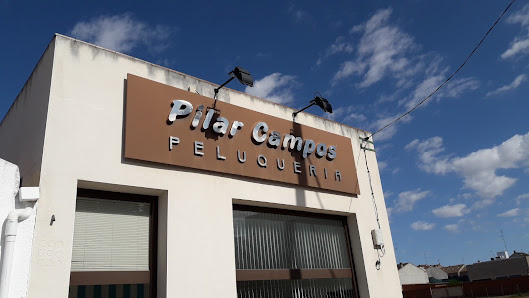 Pilar Campos Peluqueria 45680 Cebolla, Toledo, España