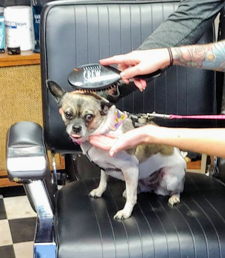 History Museum «Harley-Davidson Museum®», reviews and photos, 400 W Canal St, Milwaukee, WI 53201, USA