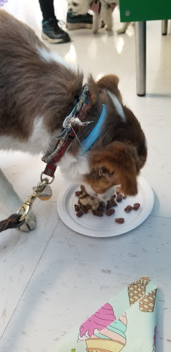 Pet Supply Store «Natural Pet Center», reviews and photos, 3037 13th Ave S, Fargo, ND 58103, USA