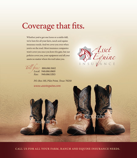 Asset Equine Insurance Agency, Inc in Pilot Point, Texas