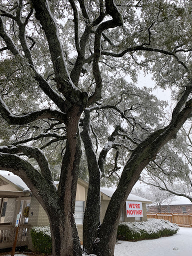 Auto Insurance Agency «Becki Ross - State Farm Insurance», reviews and photos