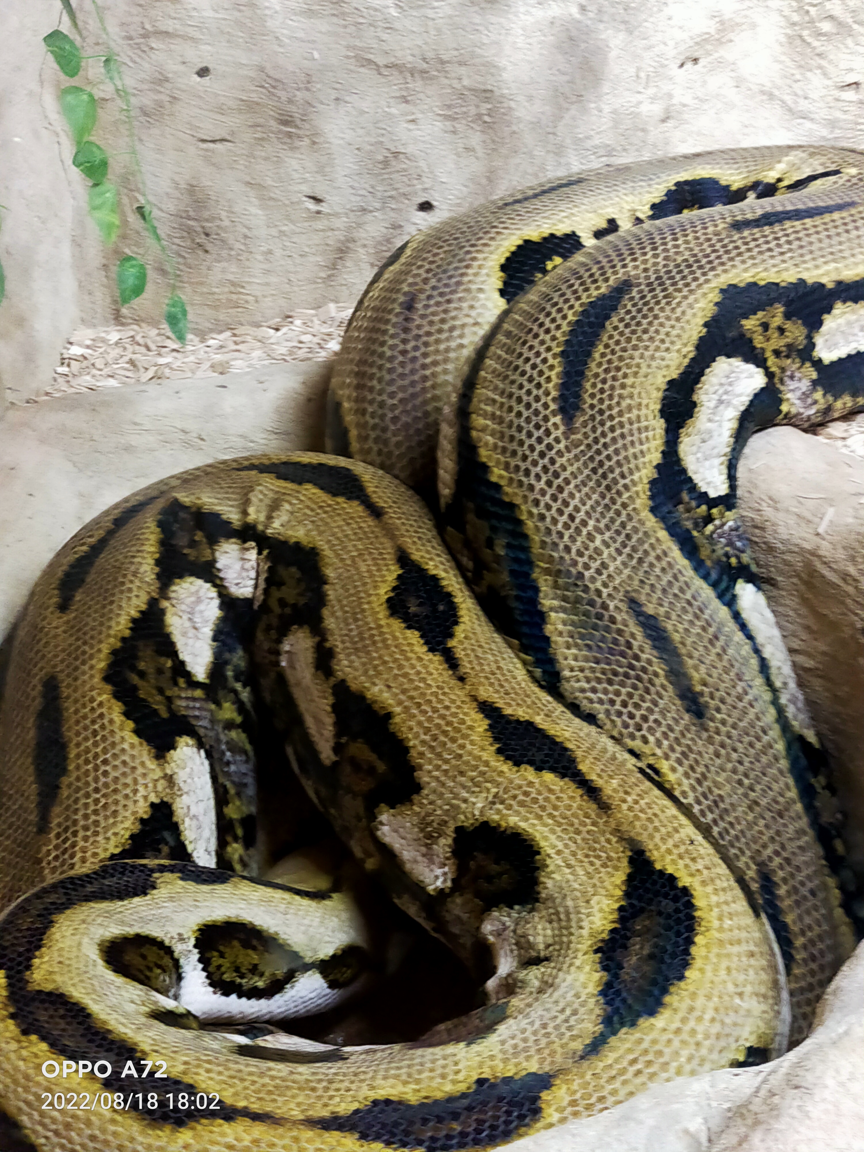 Photo n° 3 de l'avis de Laëtitia.o fait le 19/08/2022 à 08:13