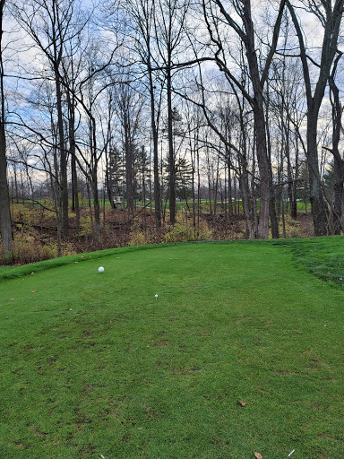 Golf Course «Vineyard Golf Course», reviews and photos, 600 Nordyke Rd, Cincinnati, OH 45255, USA