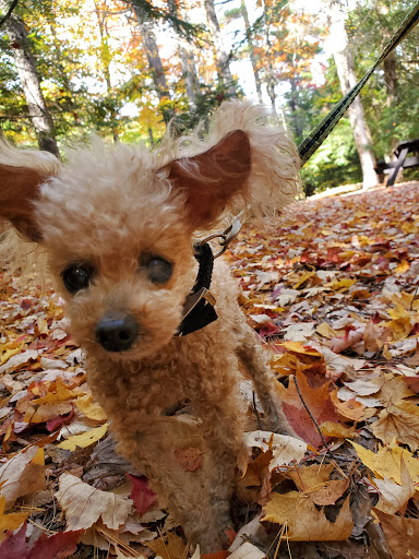 Park «Creekwood Park», reviews and photos, 7025 44th Ave E, Bradenton, FL 34205, USA