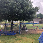 Photo n°9 de l'avis de Regina.r fait le 02/08/2022 à 06:20 sur le  Straussenfarm Burkhardt à Schmölln