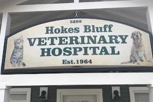 Hokes Bluff Veterinary Hospital image