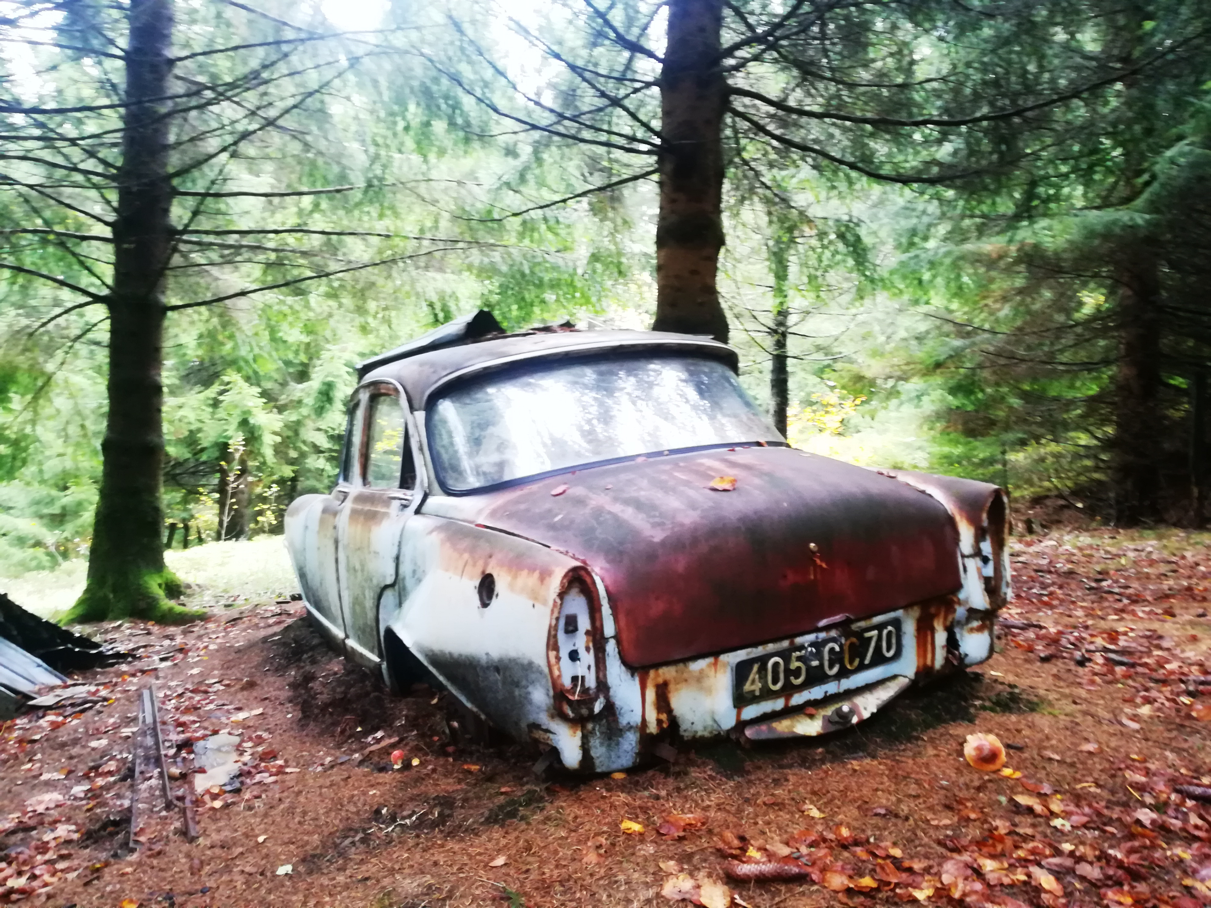 Photo n° 10 de l'avis de Olivier.r fait le 23/10/2019 à 21:57