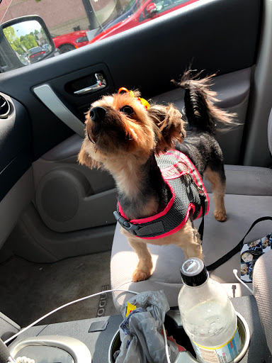 Pet Supply Store «PetSmart», reviews and photos, 3665 Marketplace Blvd, East Point, GA 30344, USA