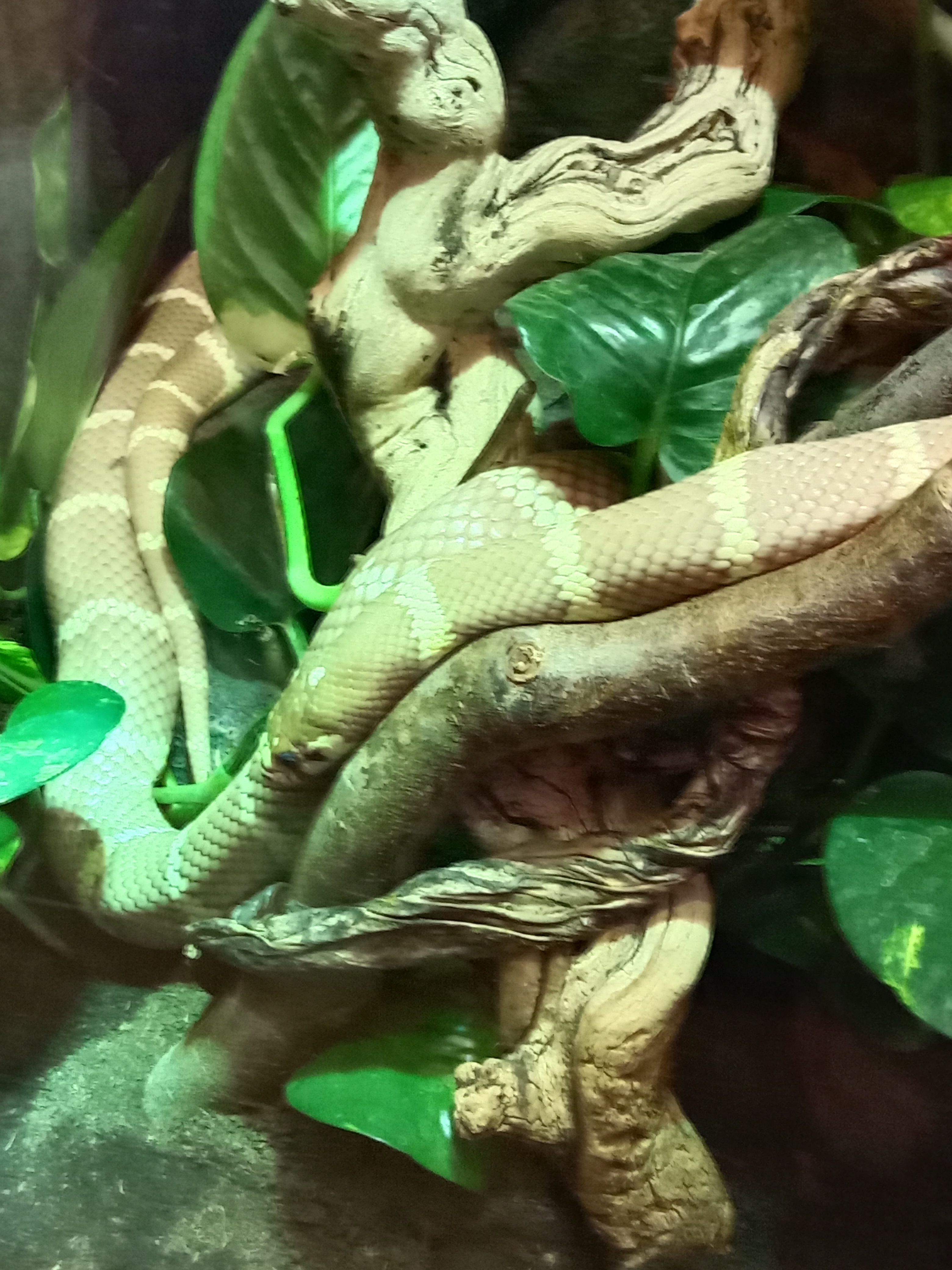 Photo n° 7 de l'avis de Sandrine.e fait le 10/08/2023 à 17:28