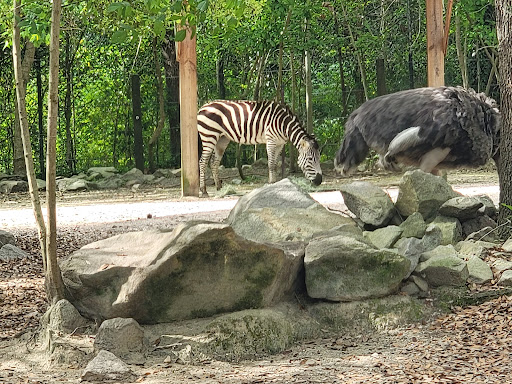 Zoo «Riverbanks Zoo and Garden», reviews and photos, 500 Wildlife Pkwy, Columbia, SC 29210, USA