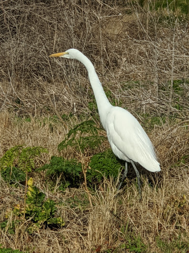 Golf Club «Goose Creek Golf Club», reviews and photos, 11418 68th St, Mira Loma, CA 91752, USA