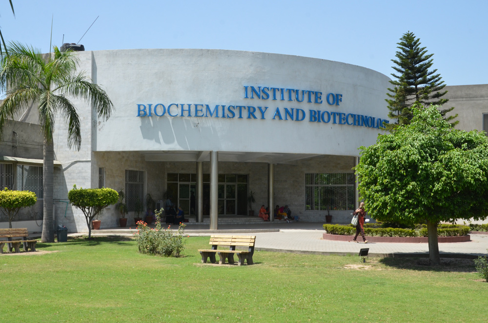 Institute Of Biochemistry & Biotechnology