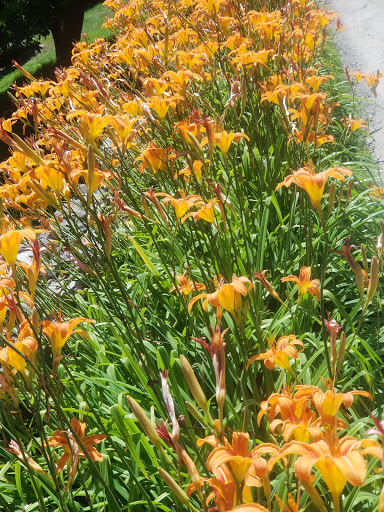 Historical Place «Weir Farm National Historic Site», reviews and photos, 735 Nod Hill Rd, Wilton, CT 06897, USA