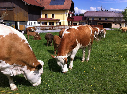 Fa. Josef Ametsreiter GmbH - Alles für den Stall !!