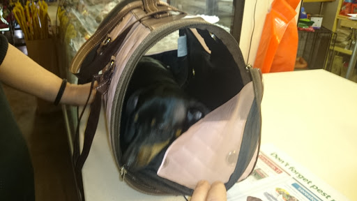 Pet Supply Store «Bow Wow & Meow», reviews and photos, 11607 Maumelle Blvd, North Little Rock, AR 72113, USA