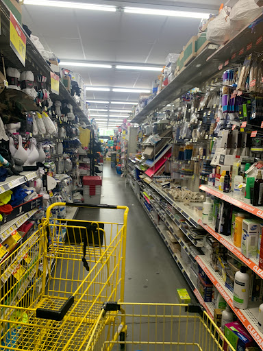 Discount Store «Dollar General», reviews and photos, 324 Bloomingdale Ave, Federalsburg, MD 21632, USA