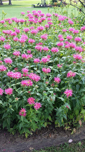 Country Club «Lake Morey Country Club», reviews and photos, 179 Clubhouse Rd, Fairlee, VT 05045, USA