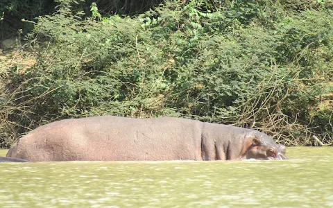 Wechiau Hippo Santuary image