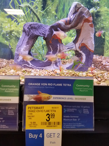 Pet Supply Store «PetSmart», reviews and photos, 2770 FM 365 c, Port Arthur, TX 77640, USA