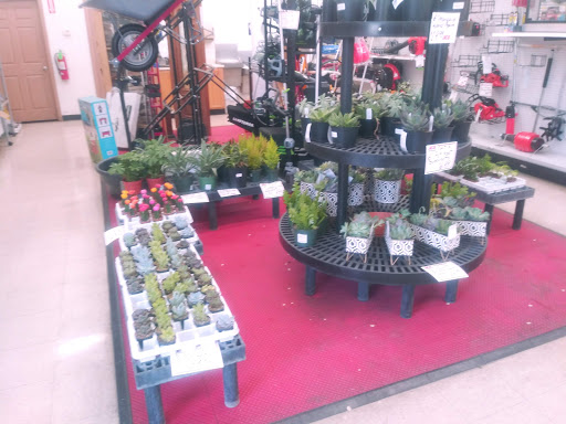 Hardware Store «L & M Lumber», reviews and photos, 4700 Lake Isabella Blvd, Lake Isabella, CA 93240, USA