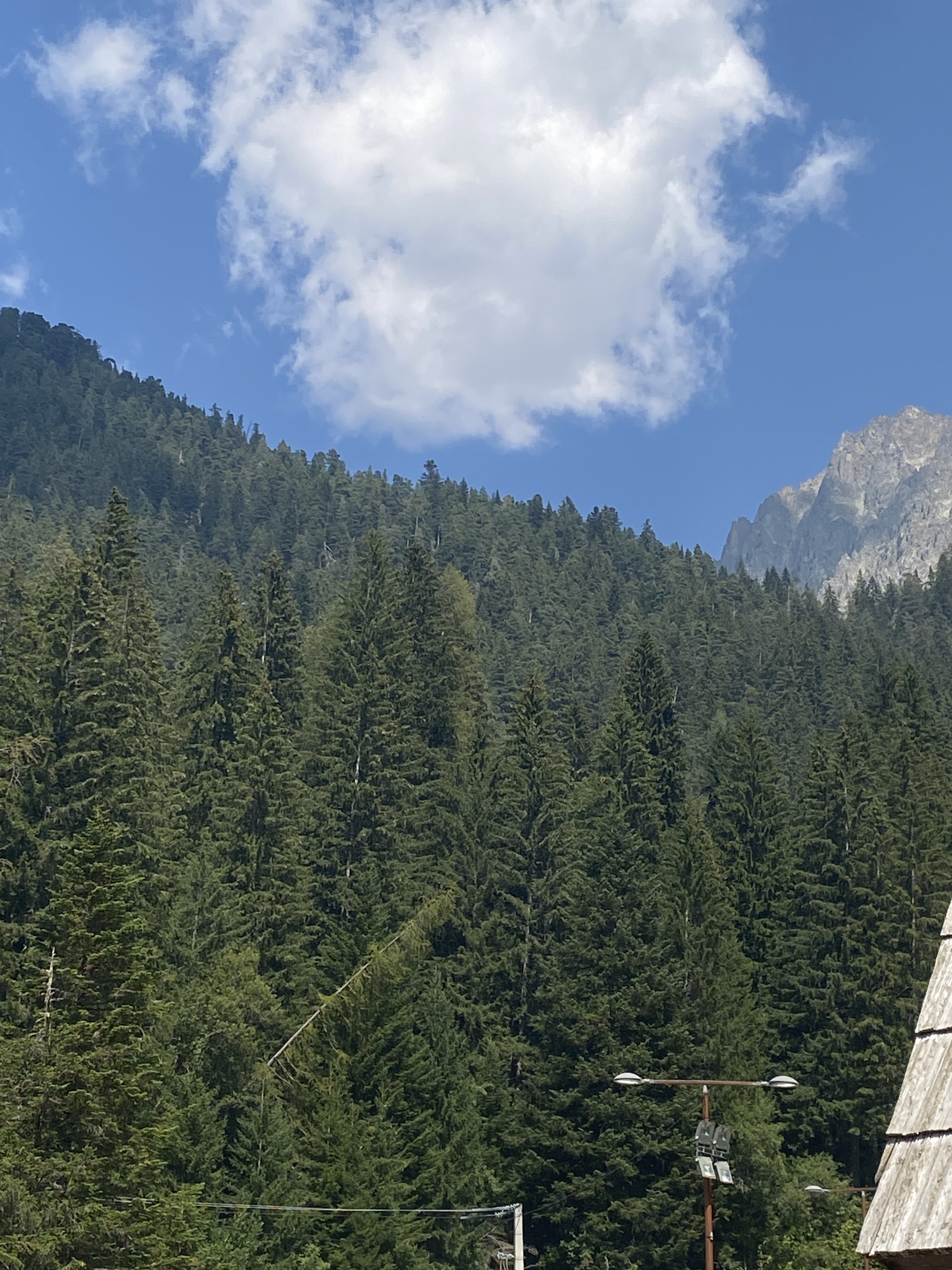 Photo n° 1 de l'avis de Chantal.i fait le 09/09/2023 à 20:49