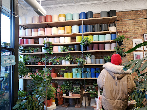 Florist «Thats Amore Florist Ltd», reviews and photos, 3454 N Southport Ave, Chicago, IL 60657, USA