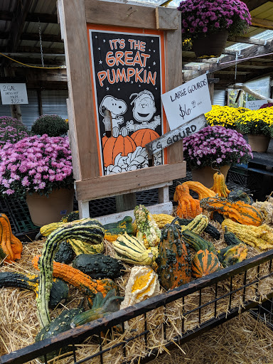 Florist «Sunshine Flowers», reviews and photos, 4509 Rainbow Blvd, Kansas City, KS 66103, USA