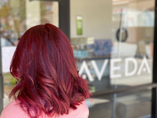 Hair Salon «Distinctive Salon and Spa East Mesa», reviews and photos, 2910 N Power Rd #101, Mesa, AZ 85215, USA