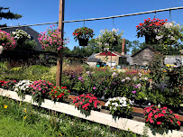 Huberman's Greenhouses - Photo 6 - Car repair in Saugus, MA, Lynn