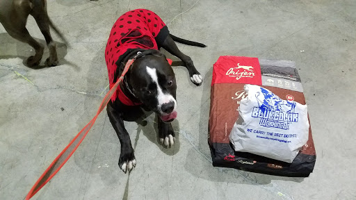 Pet Supply Store «BlueCollar Working Dog», reviews and photos, 1320 Glendale Blvd, Los Angeles, CA 90026, USA
