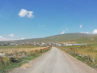 Kiziroğlu Köyü Muhtarliği