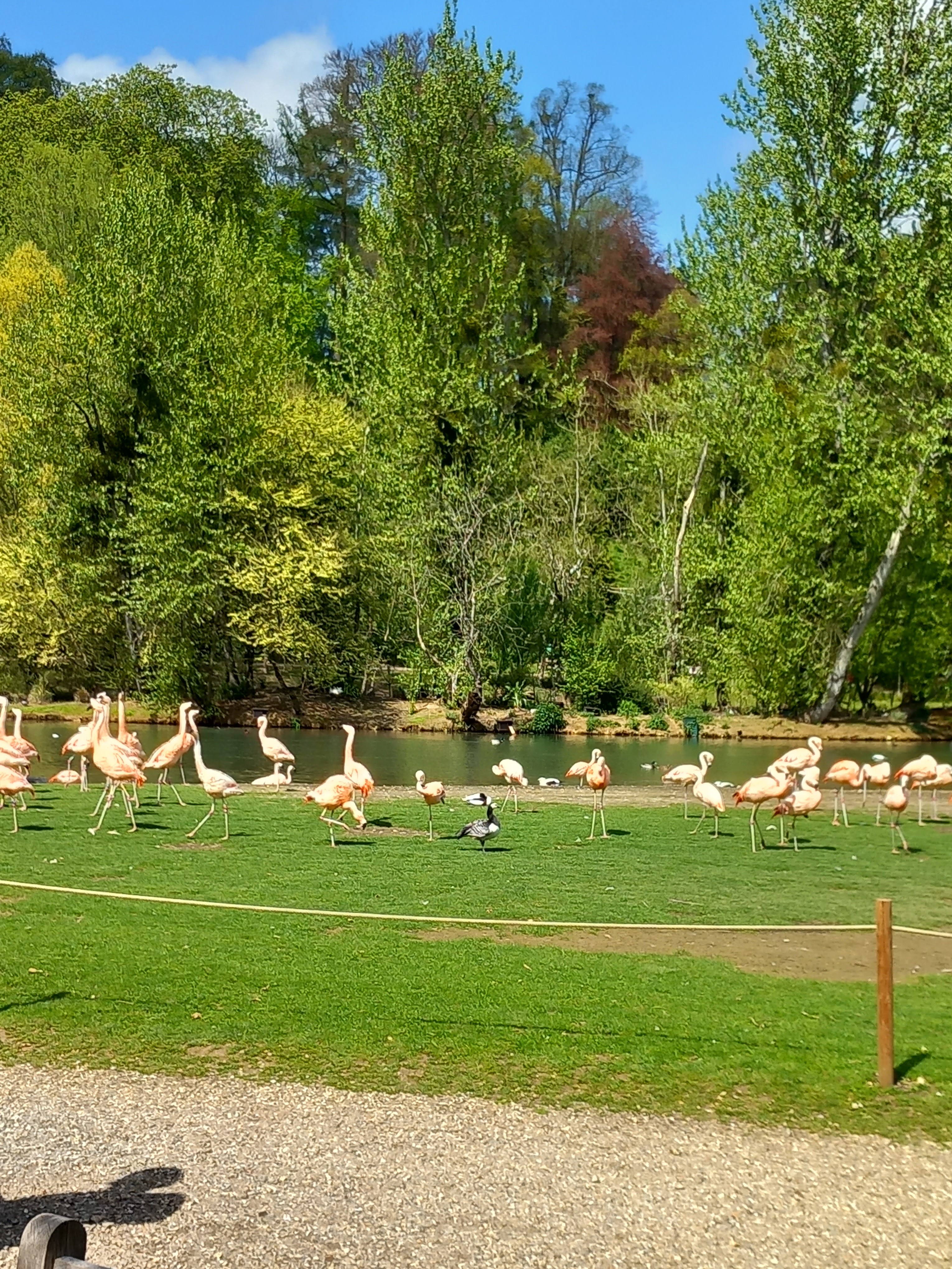 Photo n° 4 de l'avis de Karl.h fait le 01/05/2023 à 06:31