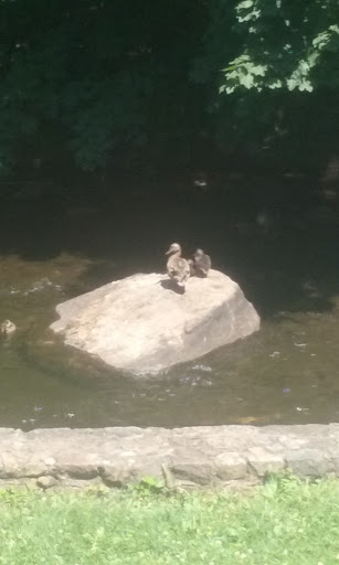 Park «Hopatcong State Park», reviews and photos, 260 Lakeside Blvd, Landing, NJ 07850, USA