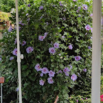 Photo n°26 de l'avis de Gernot-Rainer.a fait le 05/08/2019 à 12:51 sur le  Gasthof Hofwirt à Teisendorf