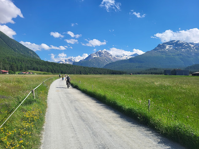 http://tcs-camping.ch/samedan