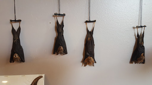 Art Gallery «Dysfunctional Grace Art Co», reviews and photos, 1903 E 7th Ave, Tampa, FL 33605, USA