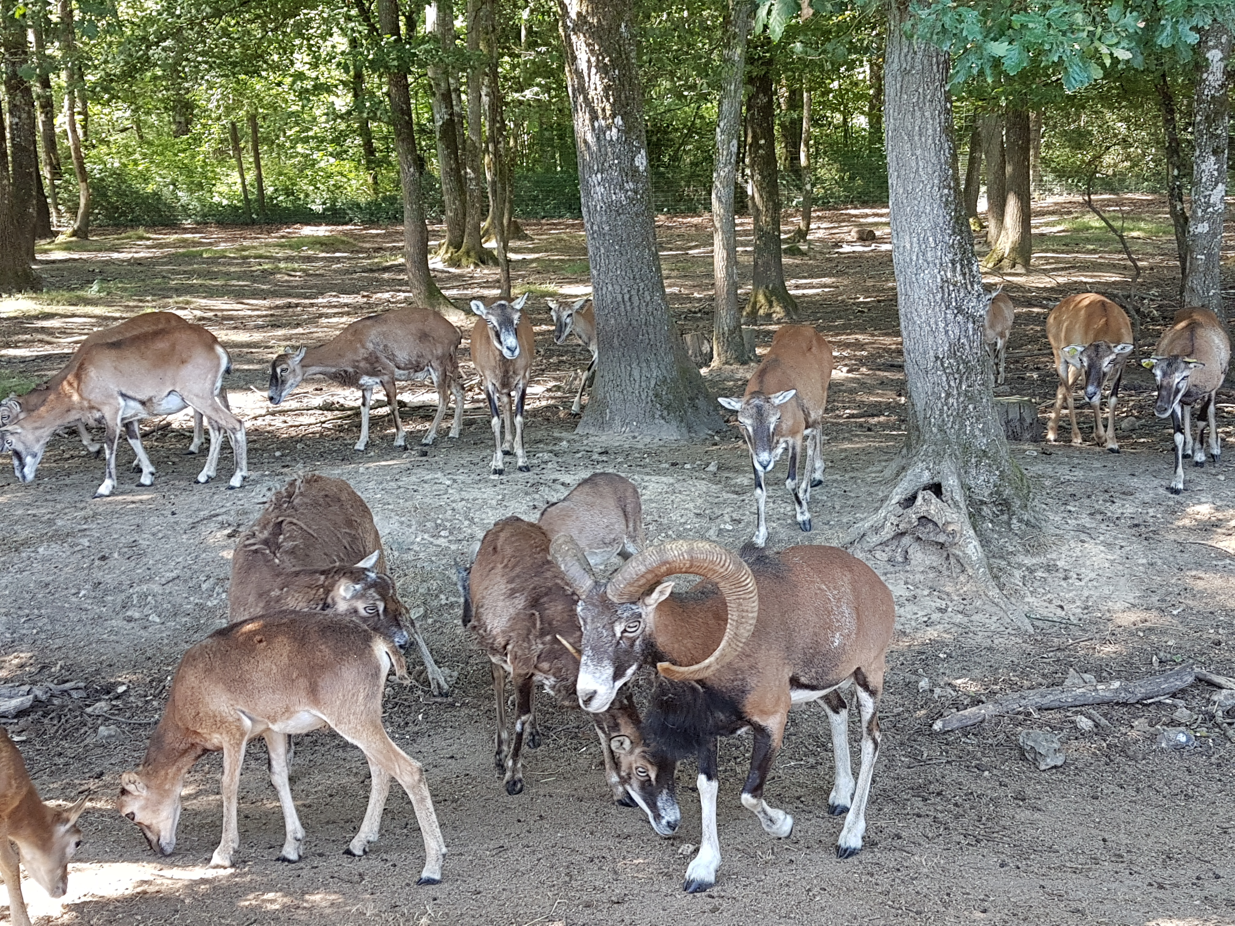Photo n° 7 de l'avis de Antoine.u fait le 28/08/2018 à 20:48