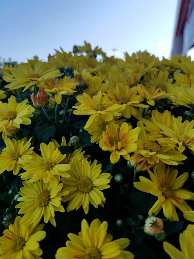 Home Improvement Store «The Home Depot», reviews and photos, 1600 Gadsden Hwy, Trussville, AL 35173, USA