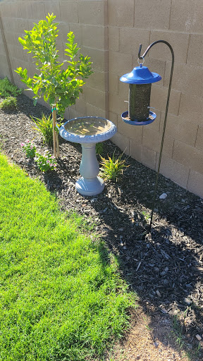 Hardware Store «Ace Hardware», reviews and photos, 21542 N John Wayne Pkwy, Maricopa, AZ 85139, USA