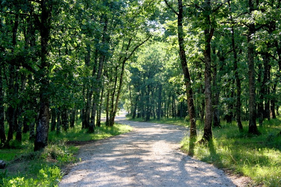 Le Bois de Faral à Le Bastit (Lot 46)