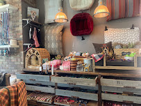 FurBabies Resort and Spa - Photo 6 - Car repair in Scottsdale, AZ, Phoenix